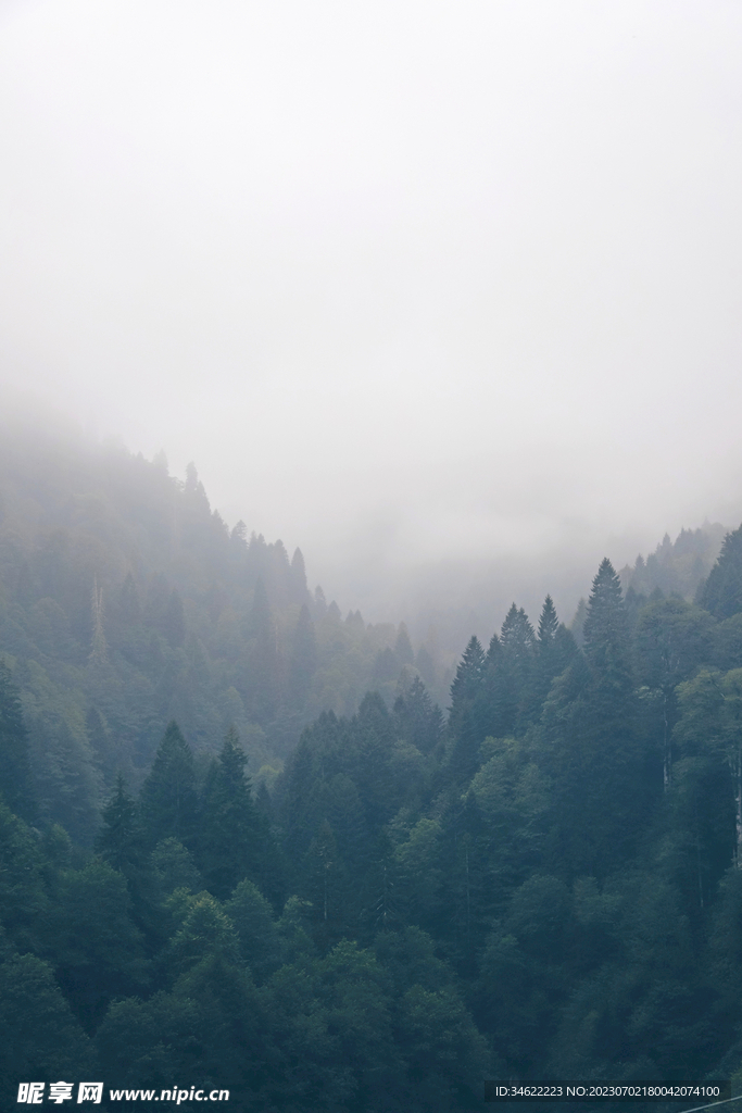 森林风光