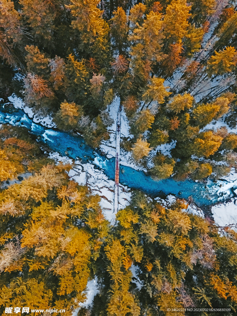 森林风光
