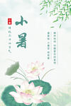 小暑单图海报