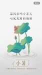 小暑中式海报
