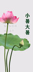 小暑