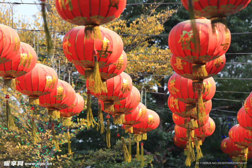 节日红灯笼
