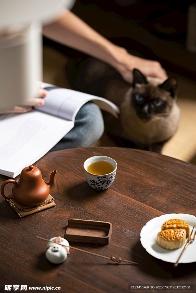 茶壶茶艺茶杯