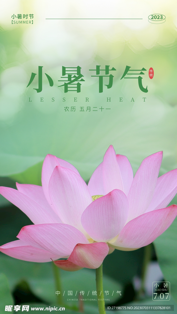 小暑节气海报