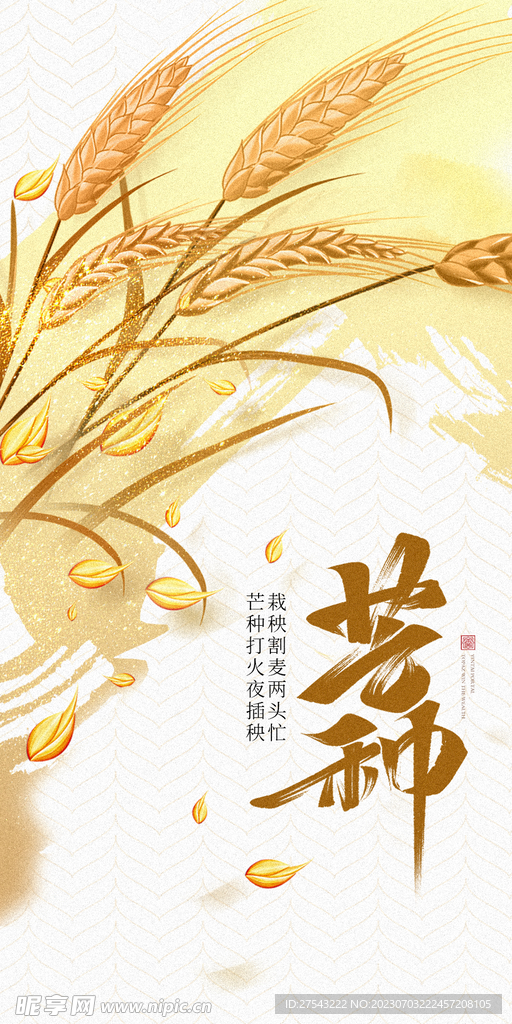 芒种海报