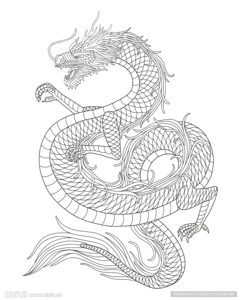 龙年