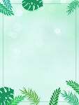 植物背景