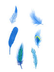 羽毛