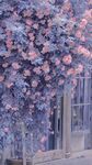 花卉