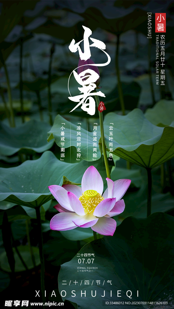 小暑节气宣传