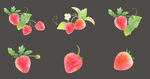 可爱红色草莓果实水果
