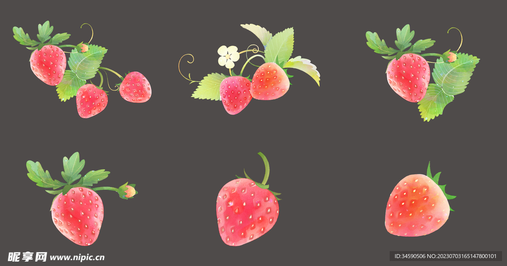 可爱红色草莓果实水果