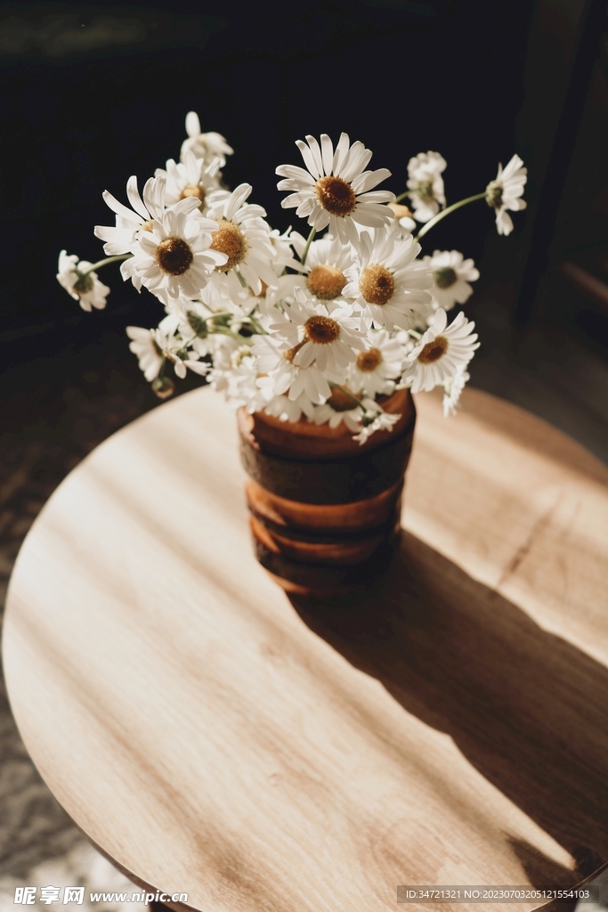 照耀着的小白花