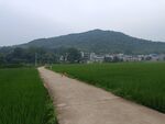田园风光