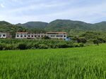 田园风光