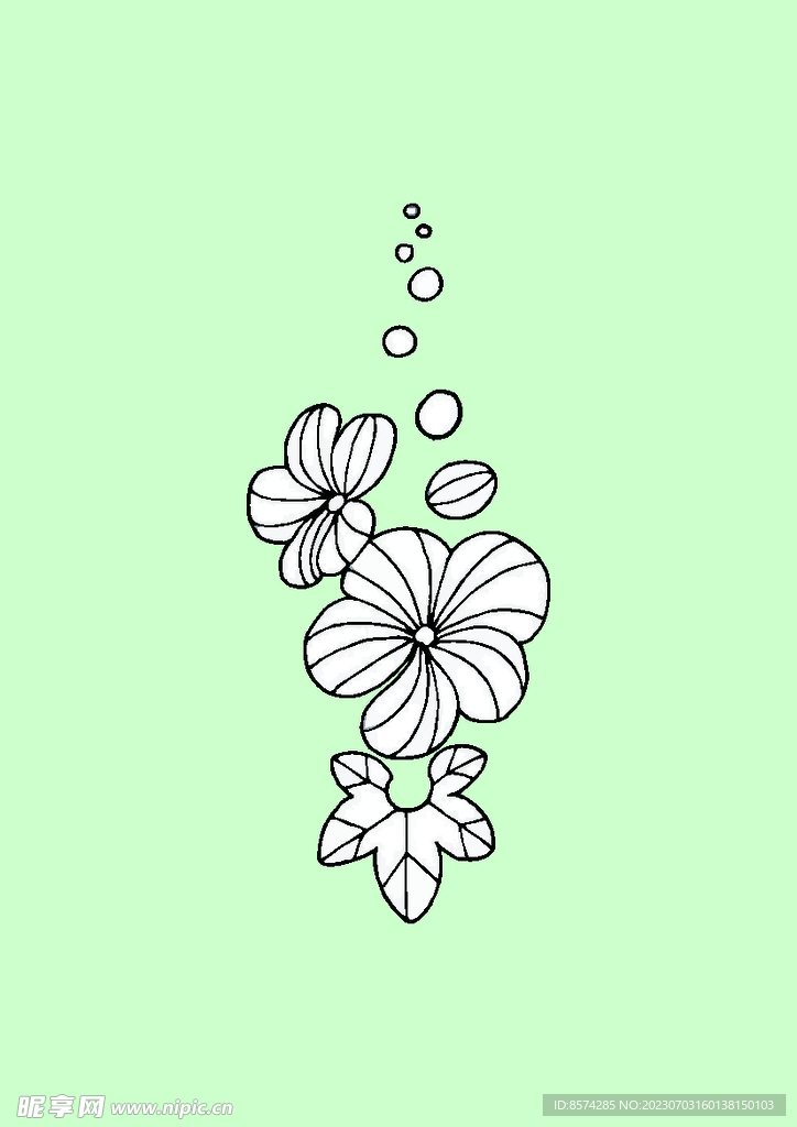 简笔画花卉