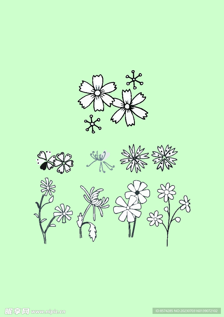 简笔画花卉