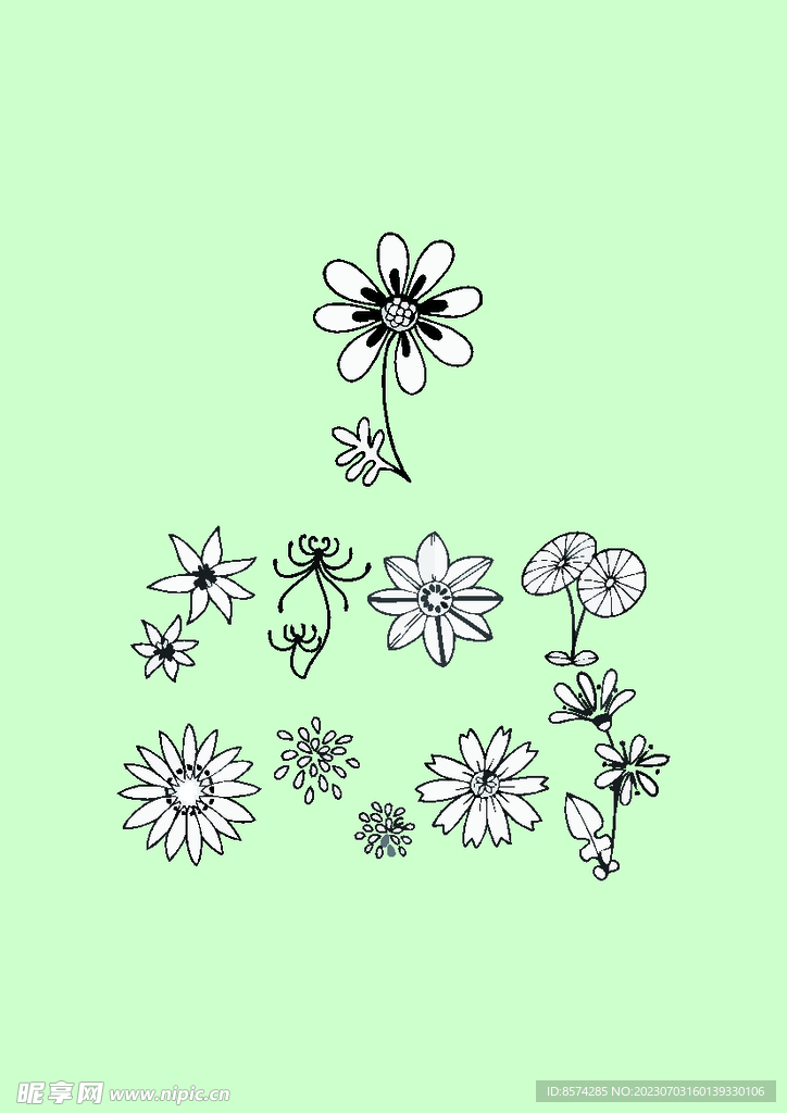简笔画花卉
