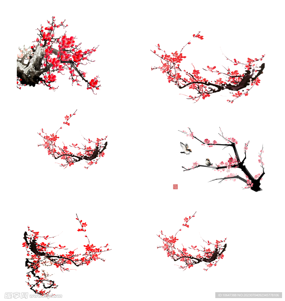 腊梅