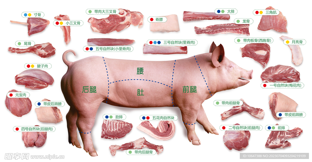 猪肉分割图