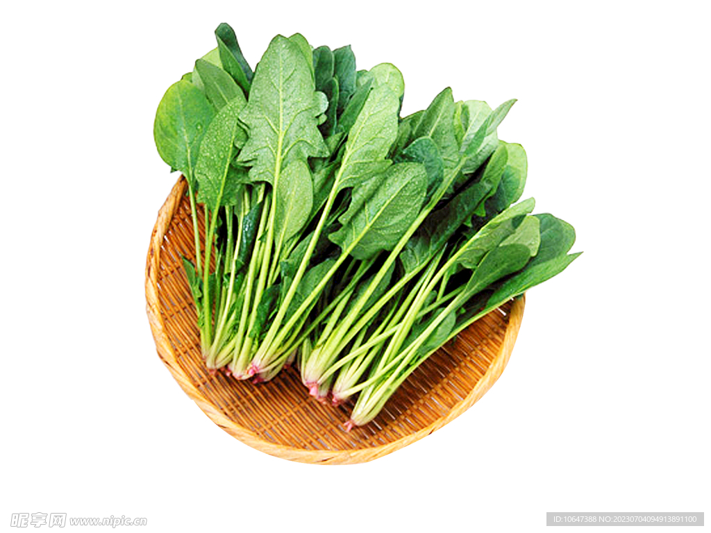 蔬菜