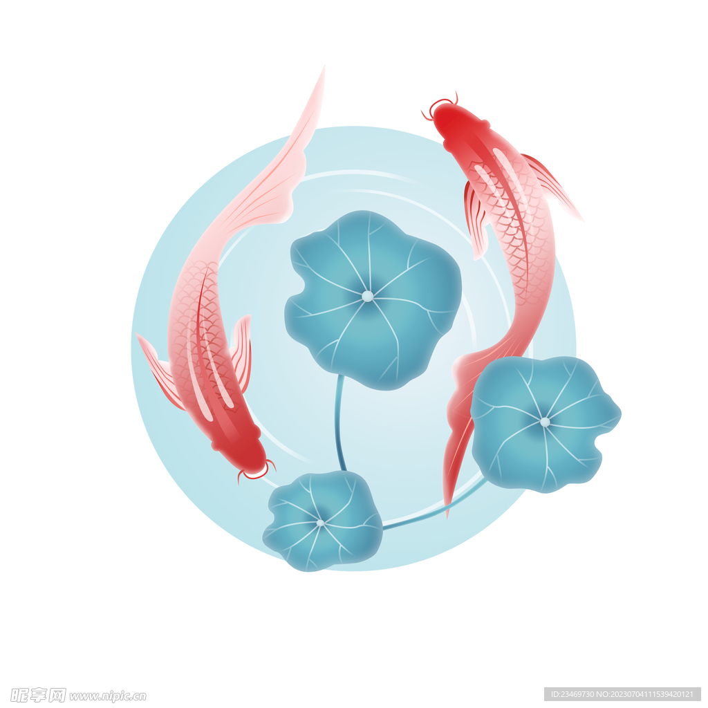 鲤鱼