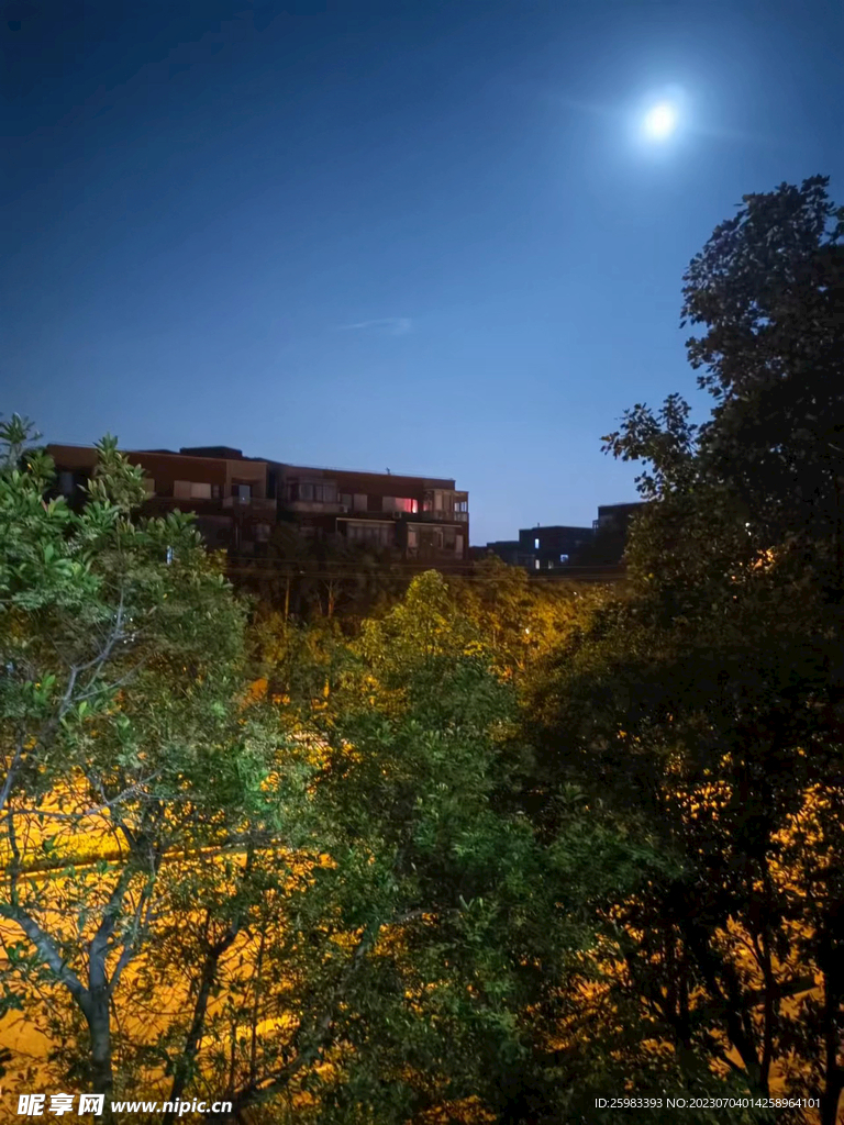 小区之夜
