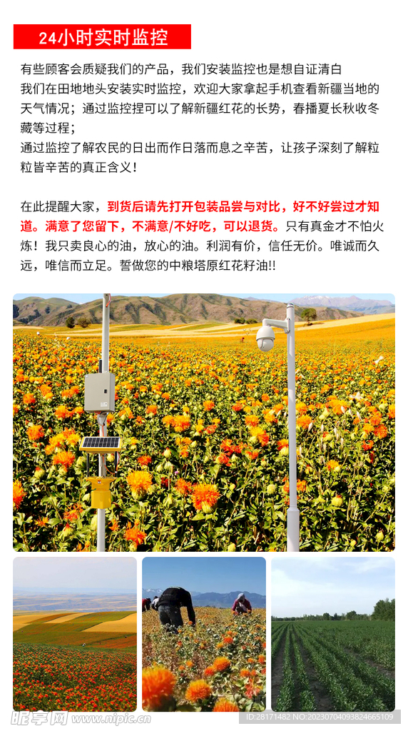 红花油详情