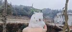 雪人