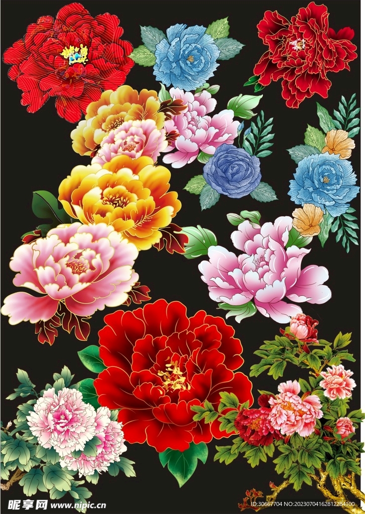 牡丹花