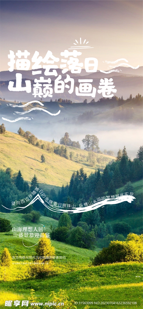 天空 森林