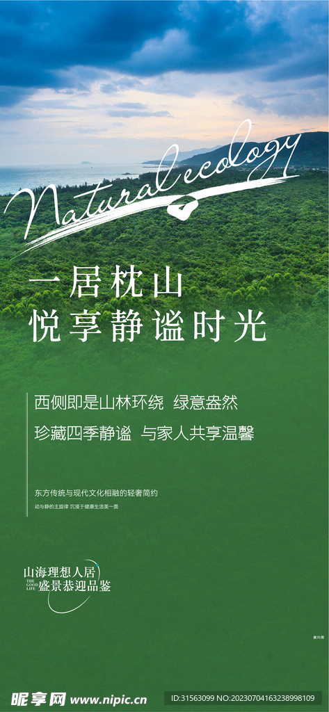 天空 森林 