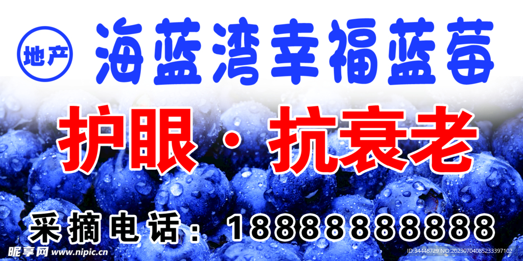 蓝莓