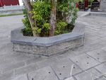 花坛花池