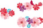 花朵