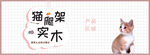 宠物banner