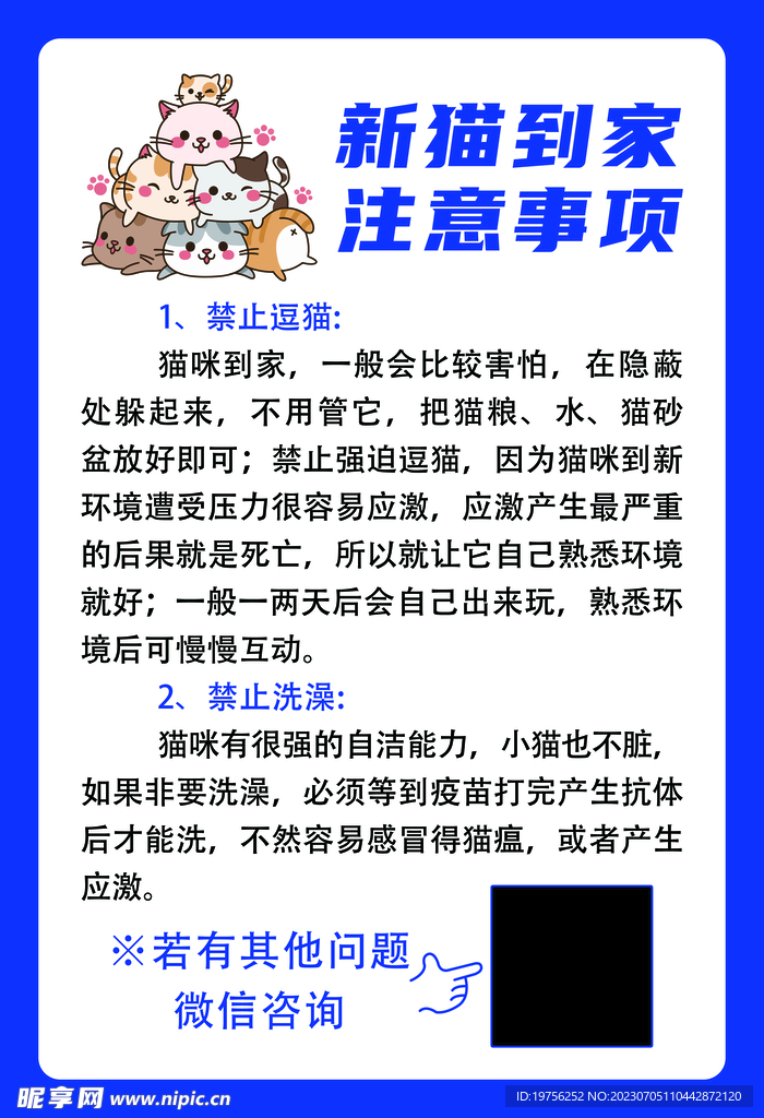 宠物到家注意事项