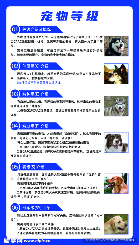 狗狗等级
