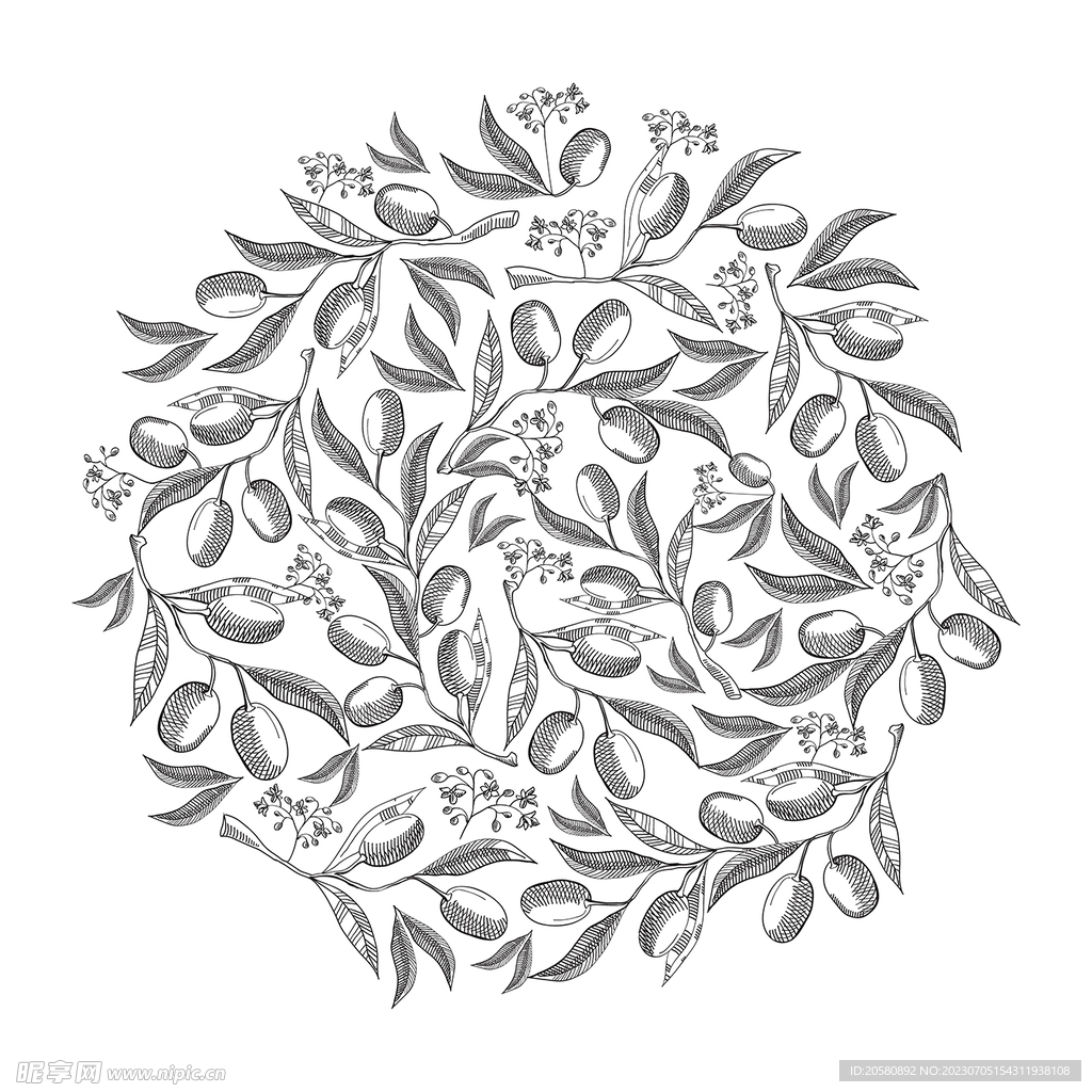 线描橄榄花纹