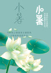 小暑素材
