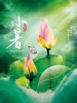 小暑海报