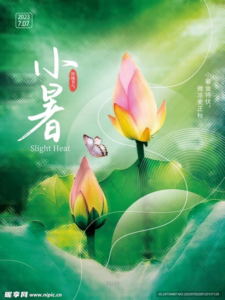 小暑海报