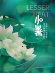 小暑海报