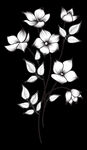 黑白素描简笔画手绘花朵花卉