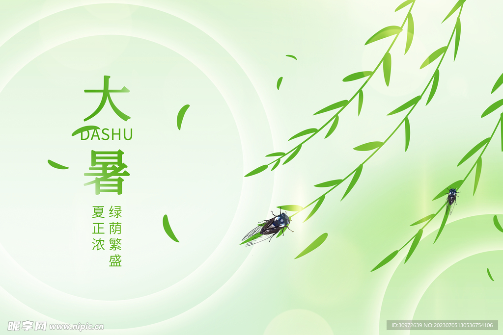 大暑绿色背景