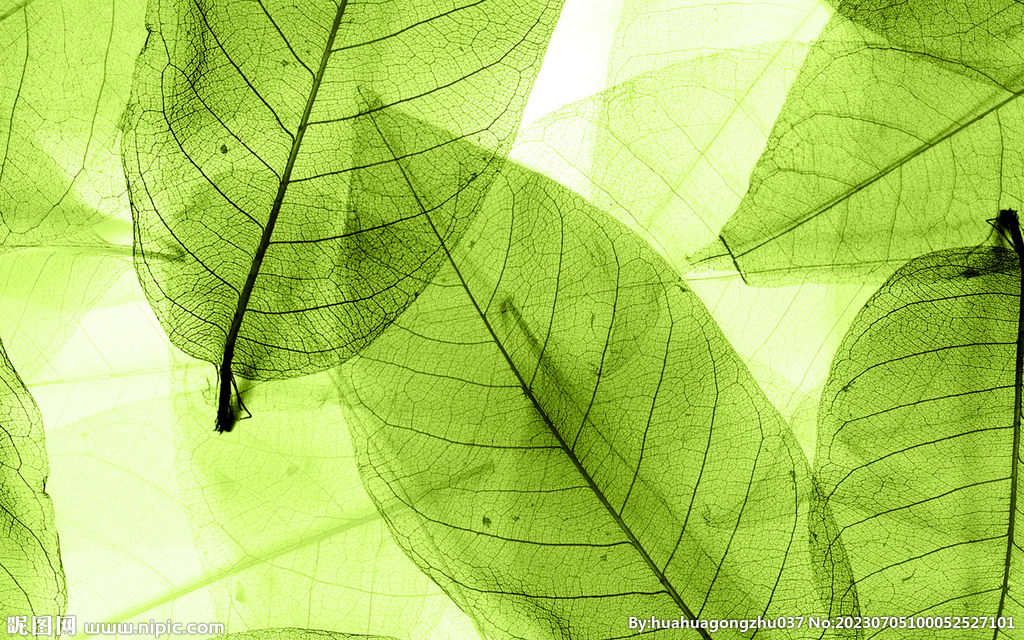 绿色透明发光树叶插画底纹