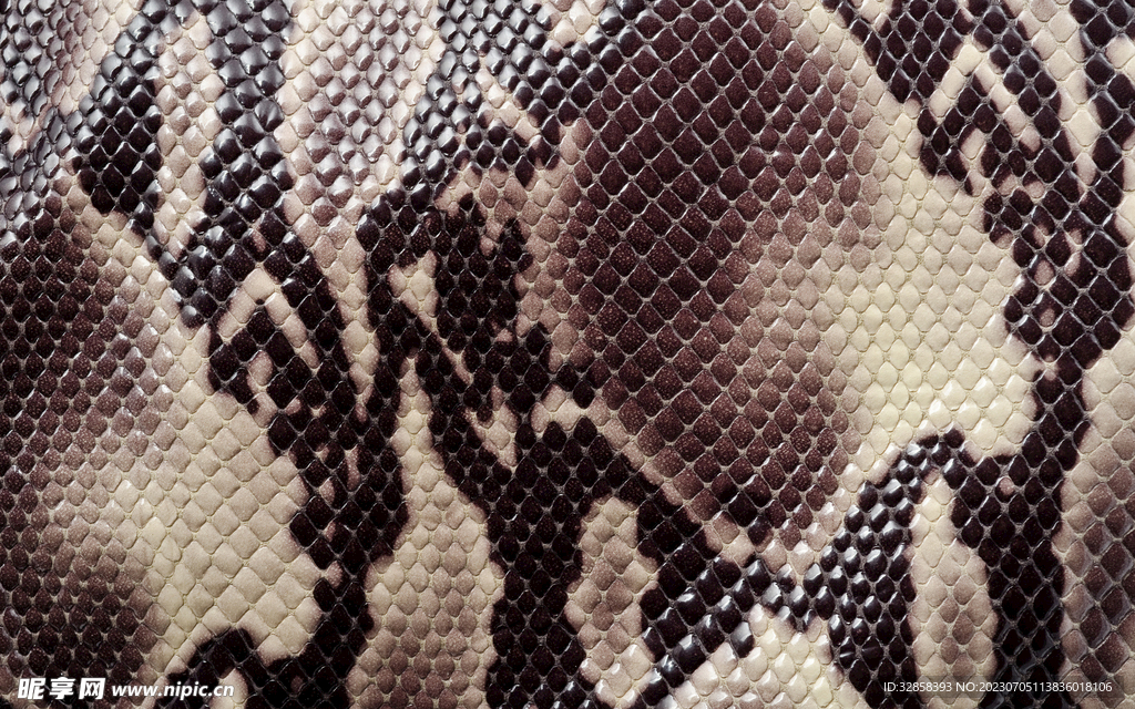 褐色蟒蛇蛇皮纹理背景