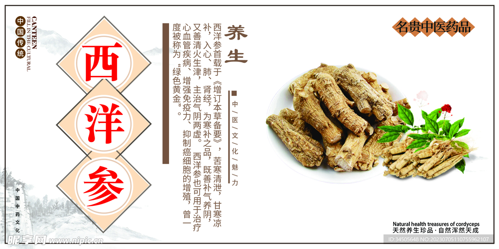 西洋参
