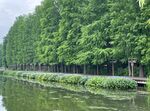 湖水寂静