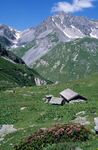 阿尔卑斯山